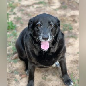 Meet your Posher, Wes